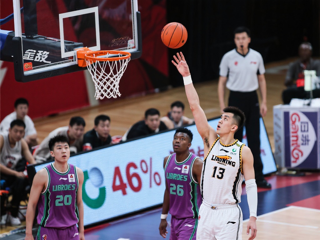 在众多体育 在众多体育